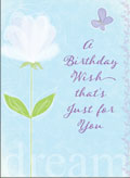 little jeanie butterfly birthday